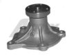 CHRYS 2510011010 Water Pump